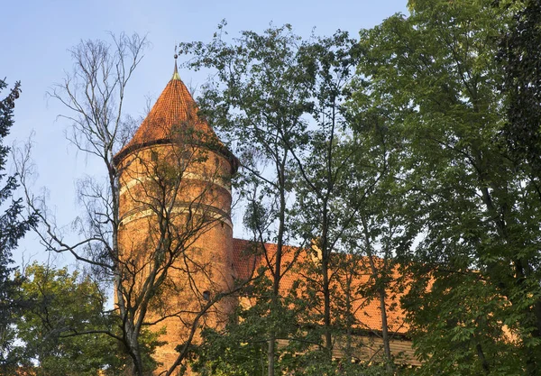 Château Warmia Tête Olsztyn Pologne — Photo