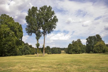Bad Muskau yakınlarında Park von Muskau (Park Muzakowski). UNESCO Dünya Mirası Alanı. Almanya