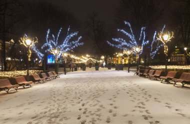 Helsinki 'deki Esplanadi parkının Noel süslemesi. Finlandiya