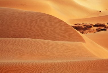 Mui Ne yakınlarındaki kum tepeleri. Vietnam