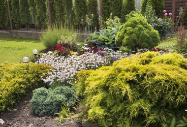 Vilkaviskis kasabası yakınlarında bir bahçe. Litvanya