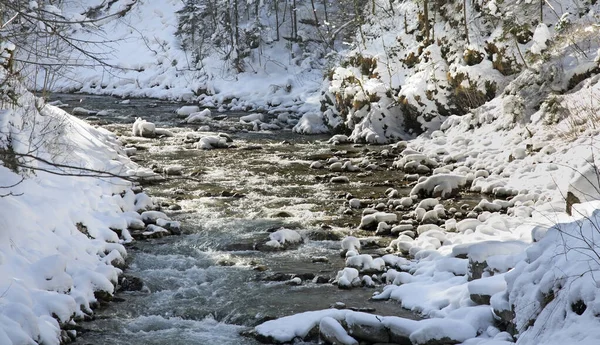 Partnachklamm - Garmisch-Partenkirchen yakınlarında Partnach vadisi. Bavyera 'da. Almanya
