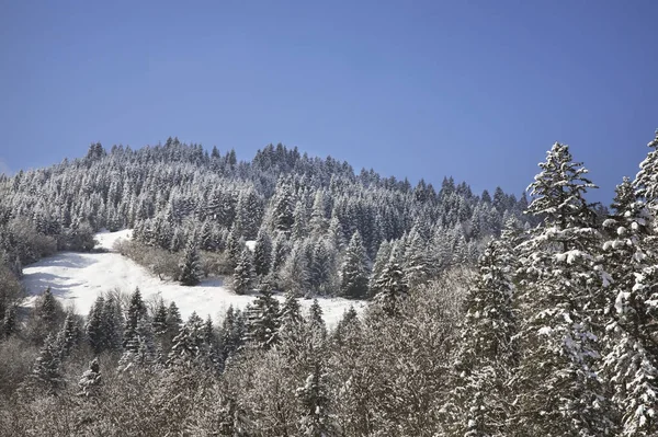 Eckbauer Bei Garmisch Partenkirchen Deutschland — Stockfoto