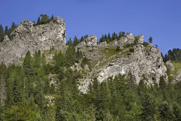 Kuznice 'de, Zakopane yakınlarında bir burun dağı. Polonya