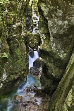 Medvedova glava - Tolmin Vadisi 'nde Ayı Kafası. Slovenya