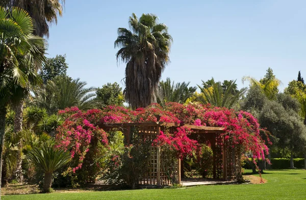 Parque Metohi Del Monasterio Kykkos Complejo Nicosia Nicosia Chipre — Foto de Stock