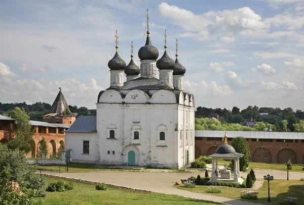 Katedralen Nicholas Zaraysk Kreml Ryssland — Stockfoto