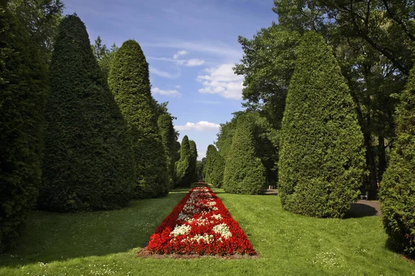 Park Van Branicki Palace Bialystok Polen — Stockfoto