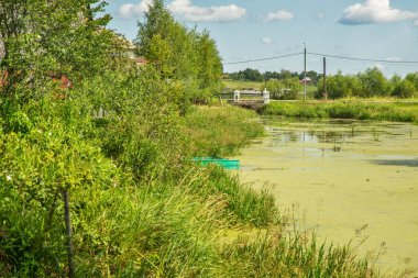 Myshkin 'de Icy (Studenyi) deresi. Rusya