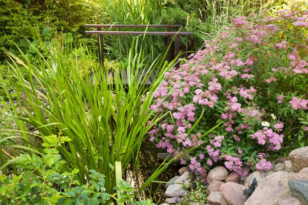 Biala Podlaska 'daki bahçe. Polonya