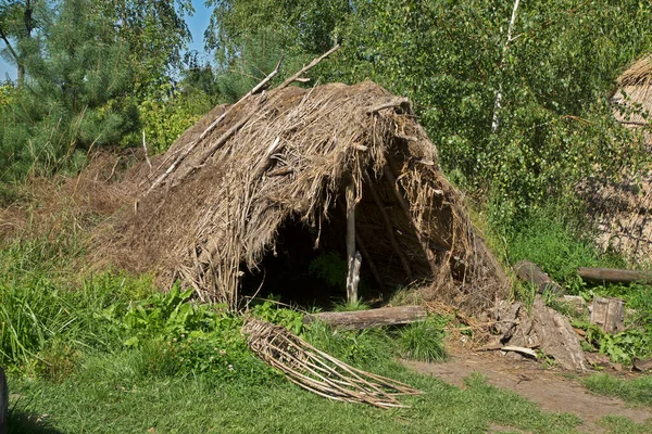 Biskupin 'de tarihi yerleşim yeri. Polonya