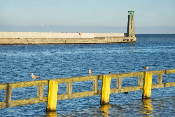 Gdynia 'nın güney iskelesinde. Polonya