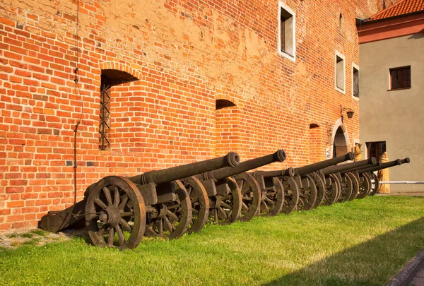 Golub-Dobrzyn 'deki Golub kalesi (Zamek w Golubiu). Polonya
