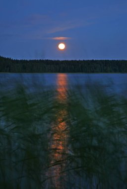 Maselga köyü manzarası. Kargopol bölgesi. Arkhangelsk Oblastı. Rusya