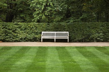 Varşova 'daki Kraliyet Hamamları Parkı (Lazienki Parkı). Polonya