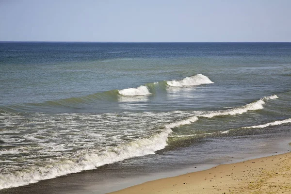 Curonian Spit Калінінградська Область Росія — стокове фото