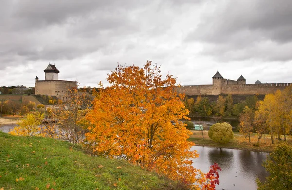 Estonian Castle Narva Russian Fortress Ivangorod — 스톡 사진