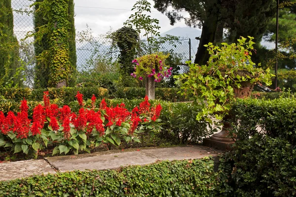 Vista Jardim Cadenabbia Itália — Fotografia de Stock