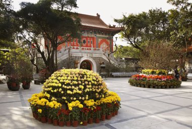 Po Lin Manastırı. Lantau Adası. Hong Kong. Çin