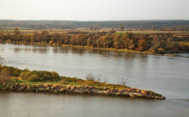 Kazimierz Dolny yakınlarında Cow Island (Krowia Wyspa). Polonya