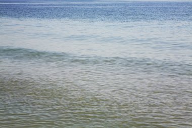 Golden Sands plajı. Bulgaristan