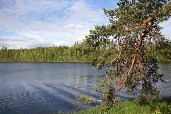 Lago Ruokosalmi Lomarantala Tahko Finlândia — Fotografia de Stock