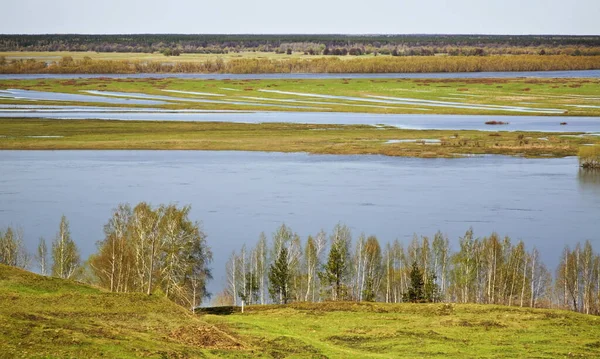 stock image Oka river in Konstantinovo village. Ryazan oblast. Russia