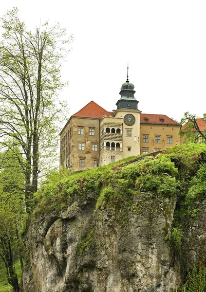 Die Burg Pieskowa Skala Kleiner Hundefelsen Nationalpark Ojcow Polen — Stockfoto