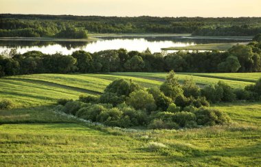 Luchaj 'da manzara. Vitebsk oblast. Beyaz Rusya