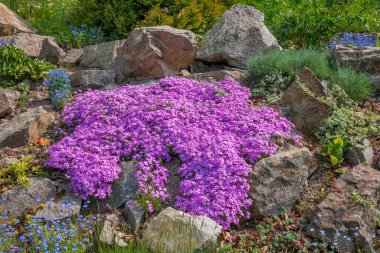 Rajecke Teplice 'deki Afrodit yakınlarındaki bahçe manzarası. Slovakya