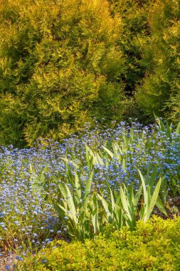 Rajecke Teplice 'deki Afrodit yakınlarındaki bahçe manzarası. Slovakya