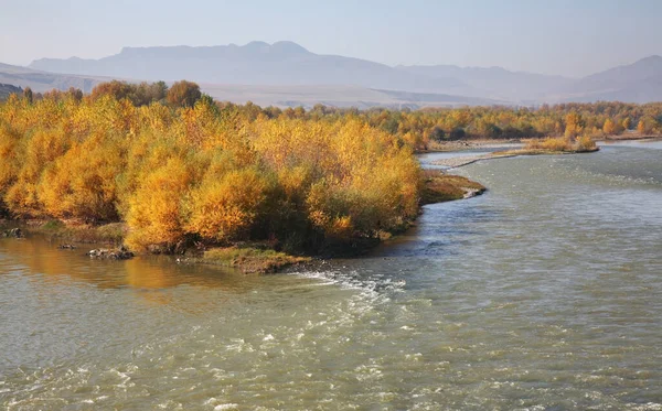 Río Kura Uplistsikhe Cerca Gori Región Shida Kartli Georgia — Foto de Stock