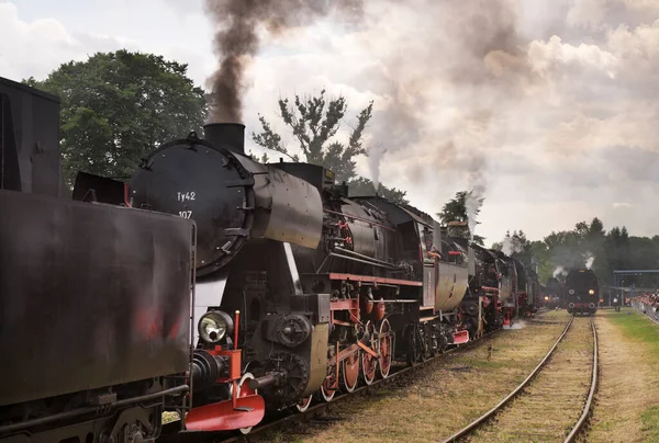 Železniční Skansen Chabowce Polsko — Stock fotografie