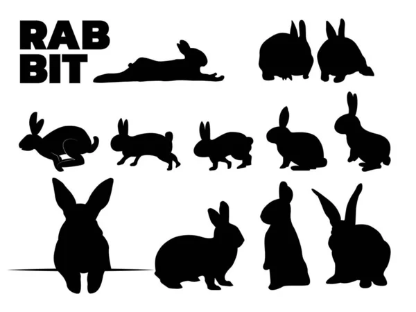 Konijn Silhouet Set Set Van Rabbit Silhouet Vector Illustratie Bunny — Stockvector