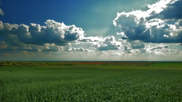 Time lapse sky — Stock Video