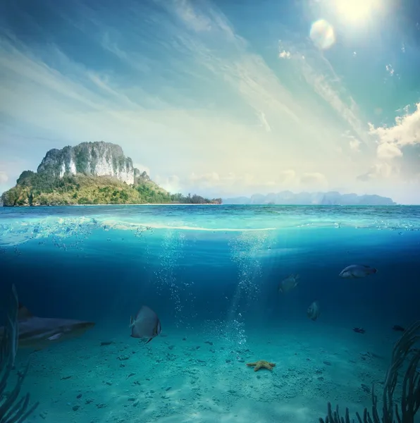 Oceano e parte subaquática — Fotografia de Stock