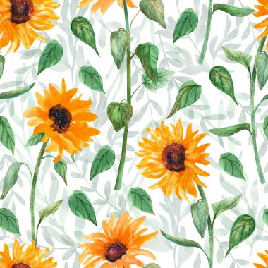Ayçiçekli suluboya desenli. Beyaz arka planda elle boyanmış resimler. Kumaşlar, ambalaj kağıtları, duvar kağıtları, örtüler için harika. Yaz tekstil baskısı.