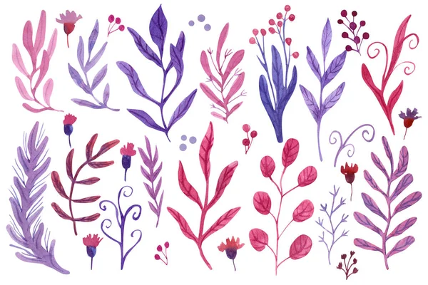 Set Beautiful Flowers Leaves Berries Floral Design Hand Painted Watercolor — Stockfoto