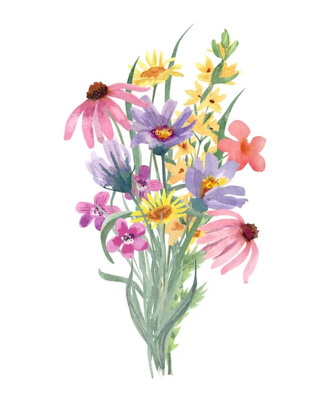 Bouquet Fiori Selvatici Illustrazione Dipinta Mano Acquerello Isolata Sfondo Bianco — Foto Stock