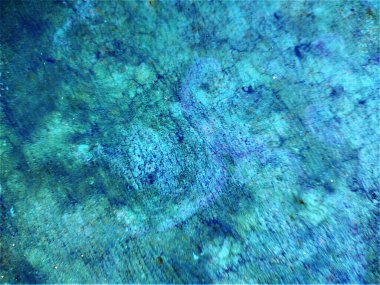 Kopyalama alanı için mavi doku arkaplanı 