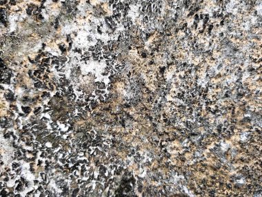 beton duvar dokusu, kopyalama alanı için tam çerçeve 