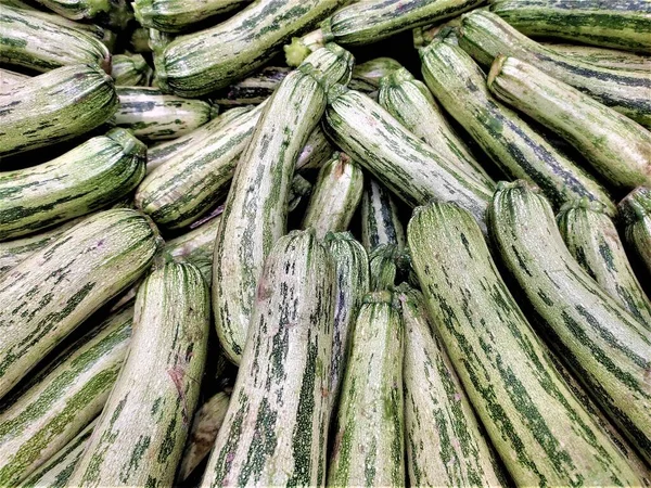 green zucchini, courgette vegetables full frame image, food concept