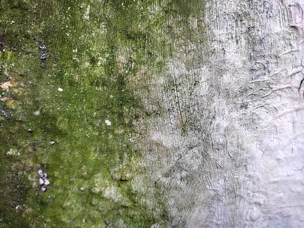 Zielony Mech Powierzchni Betonu Tekstura Skalista Pełna Ramka Kopiowania — Zdjęcie stockowe