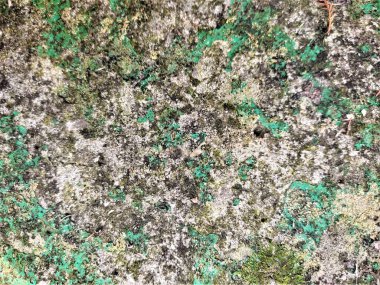 kopyalama alanı için tam çerçeve arkaplanı