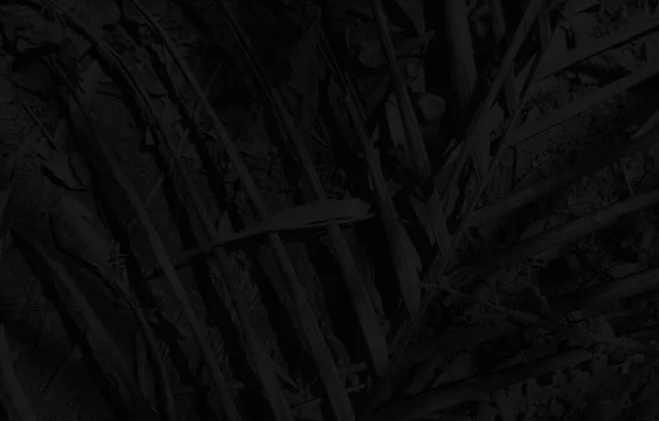 Texturált Absztrakt Fekete Háttér Sablon Másolás Tér — Stock Fotó