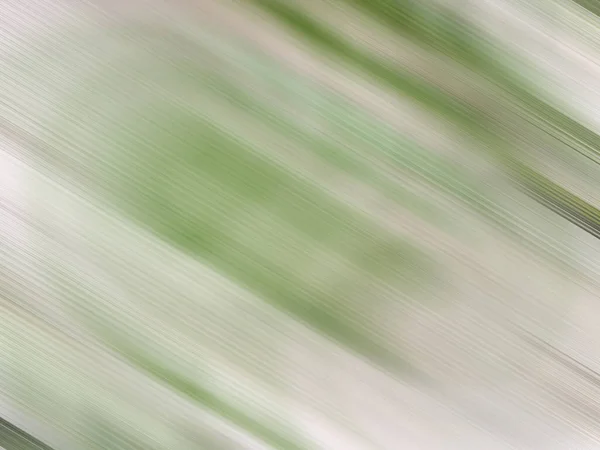 Abstrakte Grüne Ganzrahmen Texturvorlage Für Kopierraum — Stockfoto