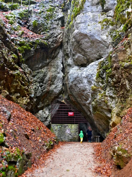 Entrance to the karst Jama Cave - Krizna Jama — Stock Photo, Image