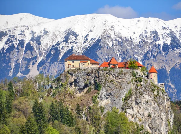 Bled Castle — Stock Photo, Image