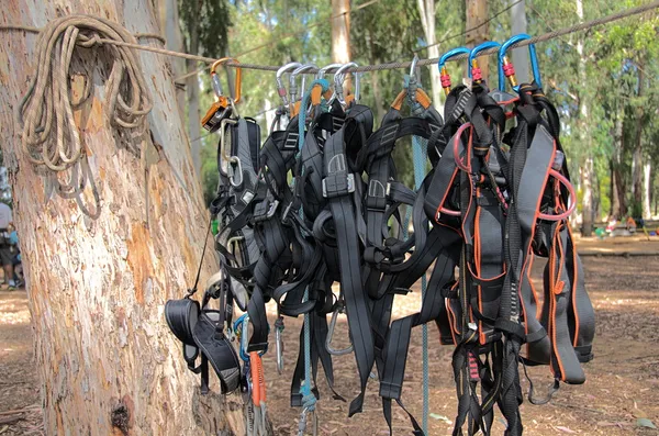 Climbing harnesses and rope - ready for fun! — Stock Photo, Image