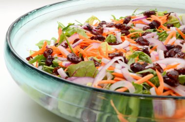 karışık renkli salata